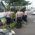 Polda Metro Jaya Rapikan Ranting Pohon yang Menghalangi Pengendara di JLNT Antasari