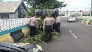Polda Metro Jaya Rapikan Ranting Pohon yang Menghalangi Pengendara di JLNT Antasari