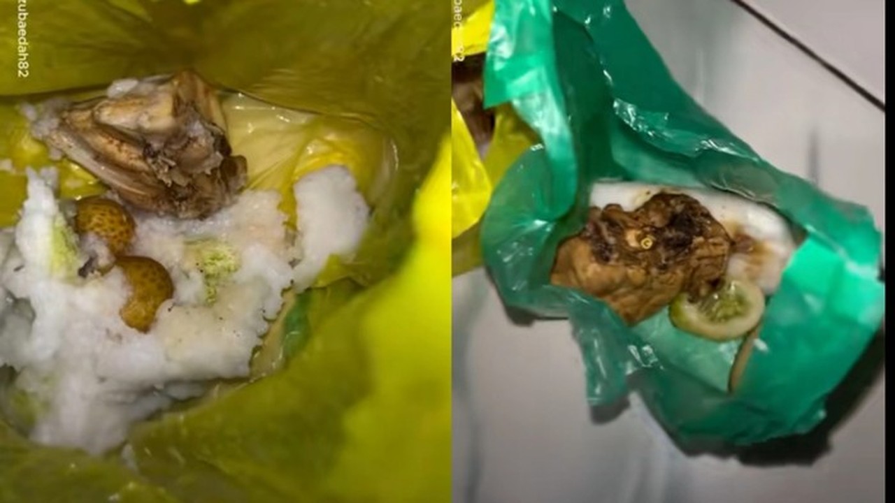 Viral Makanan Bergizi Gratis untuk Balita-Bumil Disajikan Pakai Kantong Plastik, BGN Buka Suara Viral Makanan Bergizi Gratis untuk Balita-Bumil Disajikan Pakai Kantong Plastik, BGN Buka Suara