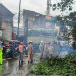 Pohon Tumbang Akibat Hujan dan Angin Kencang di Ciputat Timpa Mobil