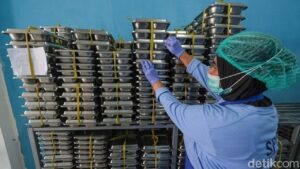 803 Warga Grobogan Diduga Keracunan Menu Ayam Makan Bergizi Gratis, 54 Dirawat