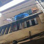 Balita Jatuh dari Lantai 2 Rumah di Jaktim, Polisi Pastikan Pengawasan Meski Tak ke Rumah Aman