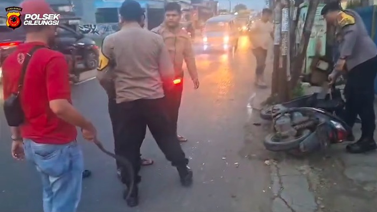 PHL Polres Bogor Ditendang Begal hingga Jatuh, Pelaku Diringkus Setelah Tabrak Tiang Listrik PHL Polres Bogor Ditendang Begal hingga Jatuh, Pelaku Diringkus Setelah Tabrak Tiang Listrik