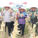 Panen Raya Jagung 2 Ton di Tigaraksa, Kolaborasi Polresta dan Pemkab Tangerang Sukses Tingkatkan Ketahanan Pangan