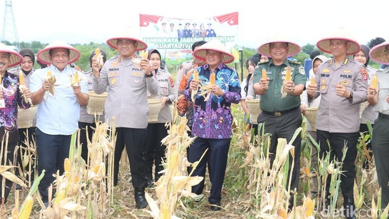Panen Raya Jagung 2 Ton di Tigaraksa, Kolaborasi Polresta dan Pemkab Tangerang Sukses Tingkatkan Ketahanan Pangan
