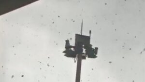 Pohon Tumbang Akibat Puting Beliung Landa Parkiran Bandara Juanda Surabaya