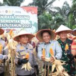 Polda Riau Panen 100 Ton Jagung dari 36 Hektare, Dukung Kedaulatan Pangan Nasional