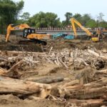 Satgas PKH Identifikasi 12 Perusahaan Penyebab Banjir Sumatera, Siap Beri Sanksi Tegas