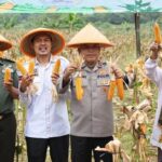 Polda Banten Panen Raya Jagung 4 Hektare, Dukung Swasembada Pangan Nasional