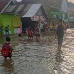 Pintu Kanal Jebol Akibat Banjir Rob, Desa Tridonorejo Demak Terendam Air