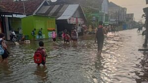 Pintu Kanal Jebol Akibat Banjir Rob, Desa Tridonorejo Demak Terendam Air